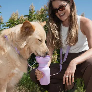 Portable Dog Travel Water Bottle (15 oz)